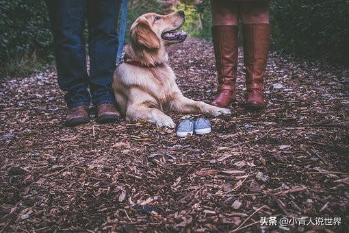 美丽的迈阿密是个怎样的地方