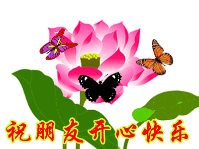 周日感恩相遇，真挚的情谊天长地久 天气渐冷，注意保暖图片