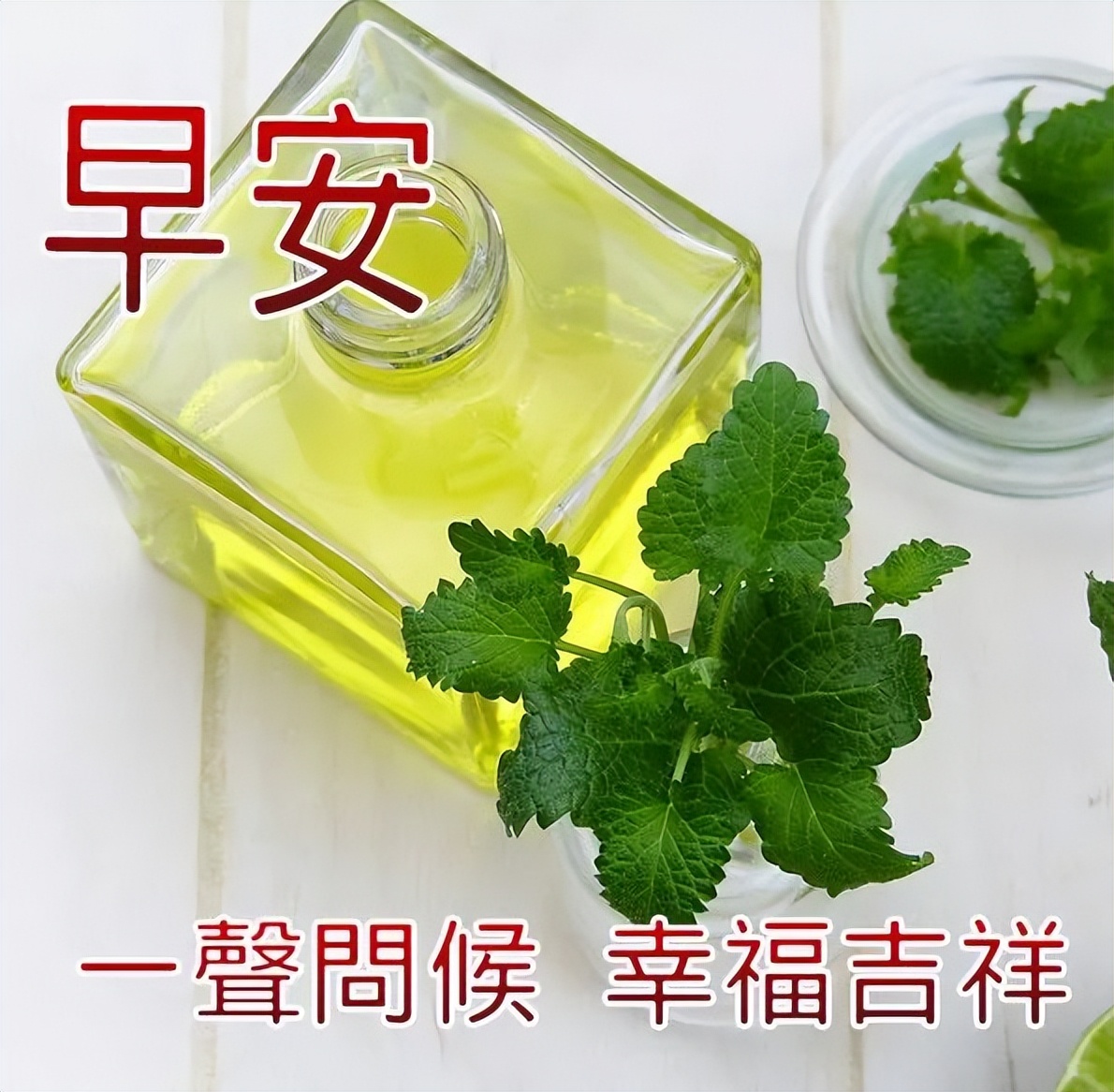 创意的早上好表情包动图祝福语 人之相交交于情，爱之相伴在于懂图片
