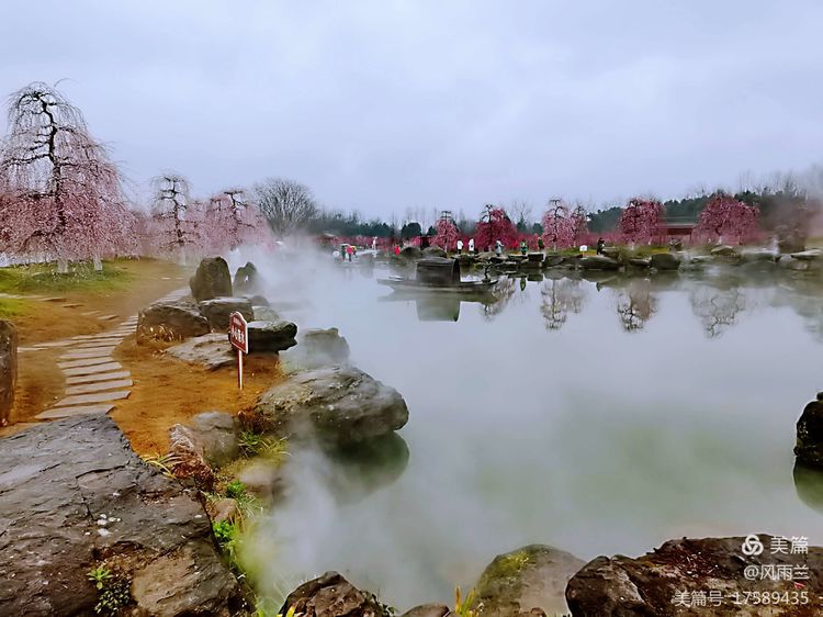 烟雨蒙蒙问花村 作者：武术兰