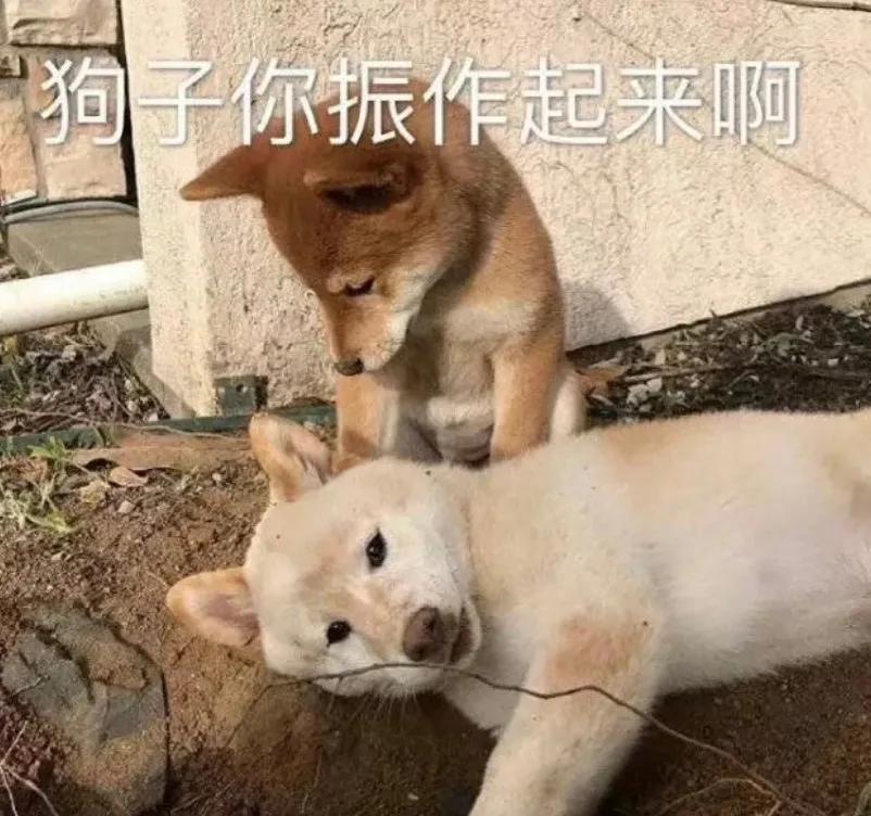 骗我可以，注意次数