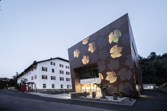 闪光的葡萄叶子，独具特色的酒庄建筑