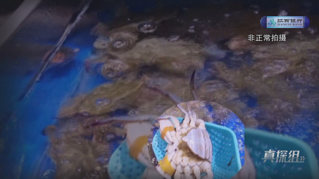 盒马鲜生南昌店被曝光！死虾死蟹上架 网红甜品涉嫌虚假宣传