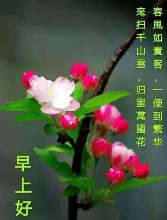 清晨暖心早上好祝福语 感恩相遇，友情来之不易，愿我们平安快乐图片