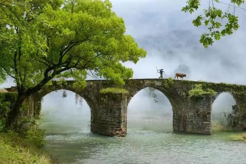 中药领域发明专利的创造性判断