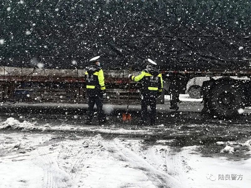 陆良这张风雪中的照片很美