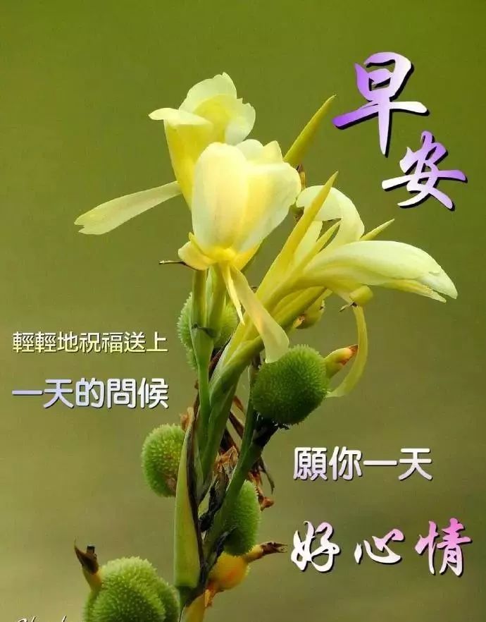 新周早上好表情图片，最新早上好每天祝福语，心之所愿、无所不成图片