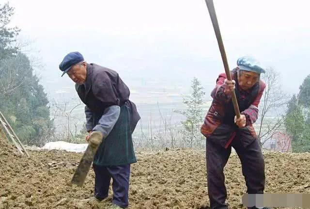 六線小城門衛1200也有人干，農村環衛人員工資多少，你的父母呢