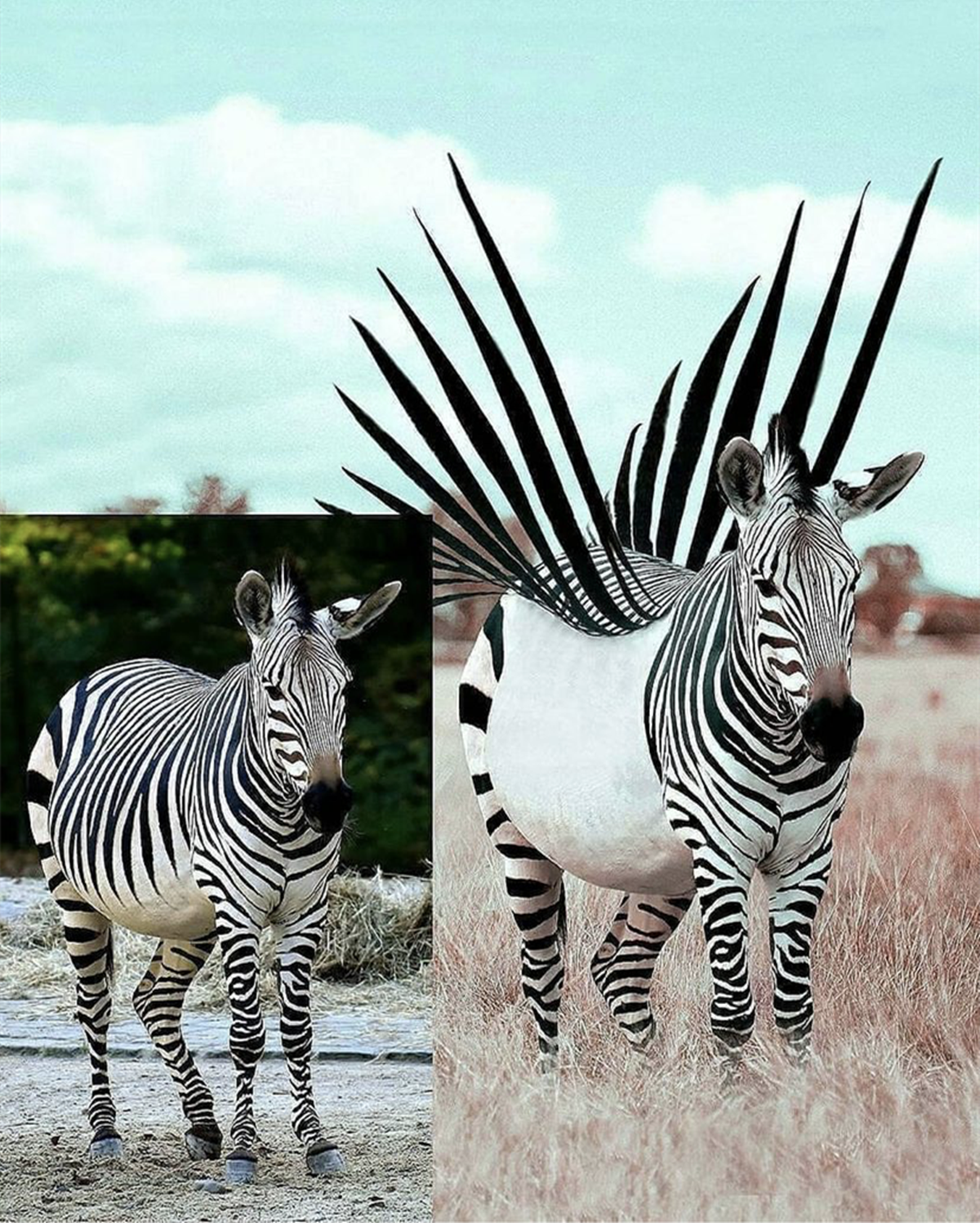 是一位脑洞大开的艺术家,通过他这一种略带有童话趣味的幻想手法,幻想