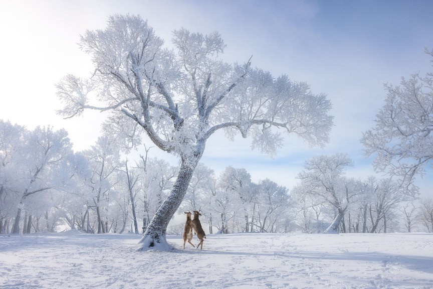 世界地球日（The World Earth Day），让我们用影像珍爱地球