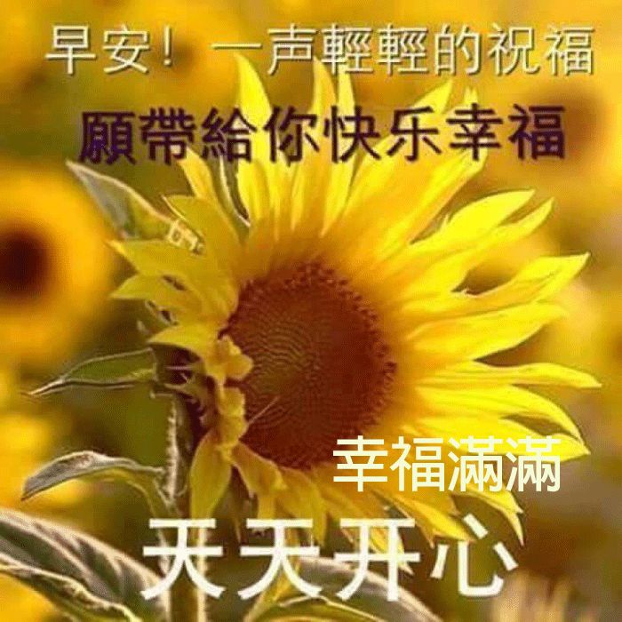 早上好祝福语大全，早上好问候语表情包更新 平安喜悦，福星跟随你图片