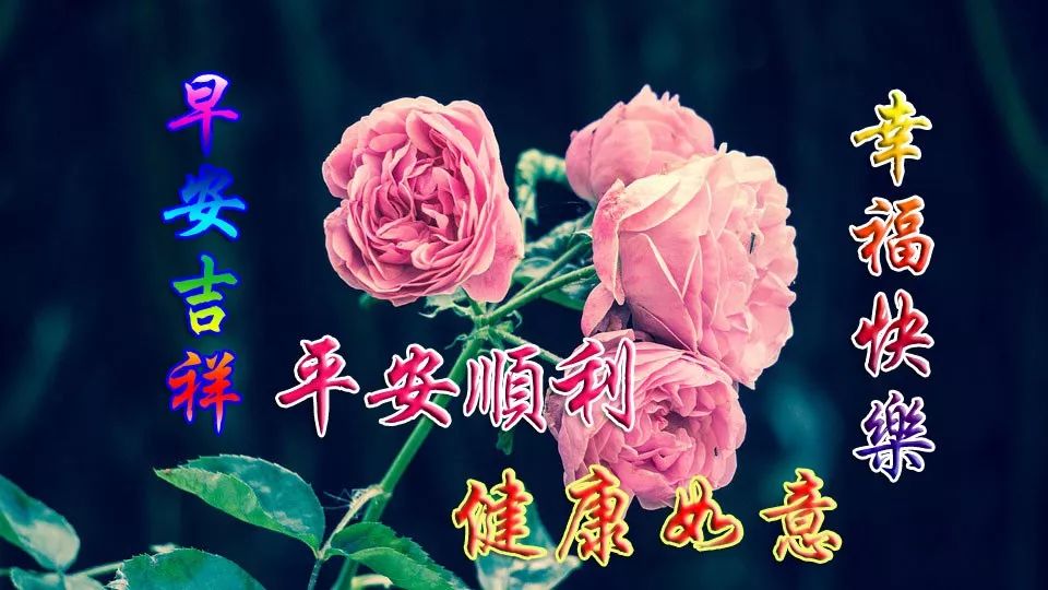 早上好温馨动态图片表情包 美好的今天带给你满满的幸福与快乐图片