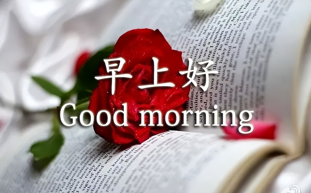 微信群发朋友的暖心早上好漂亮祝福图片，人生有你真好图片