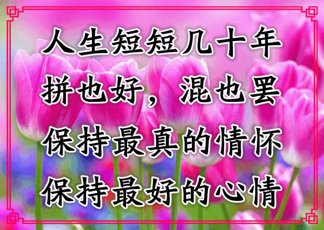 今日早上好表情包图片动态带鲜花 以积极的心态生活 发现美好的东西图片