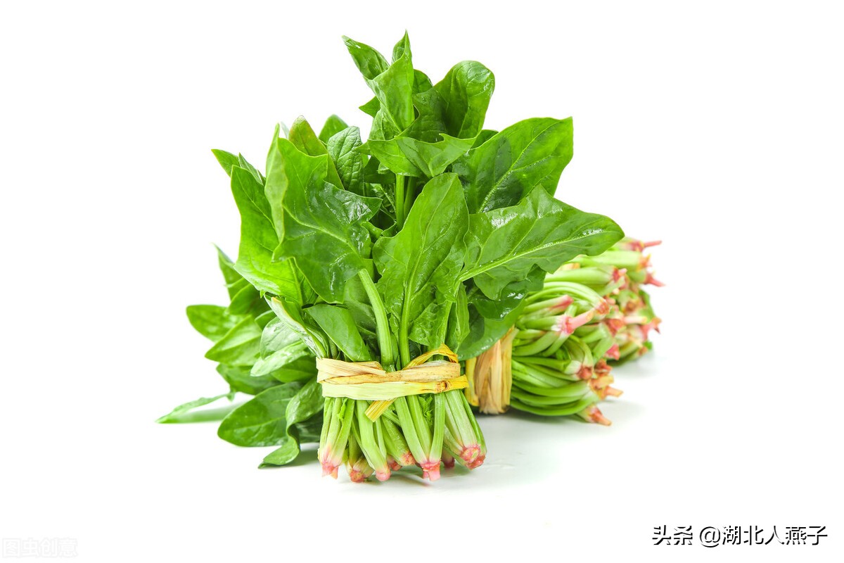 三九补一冬,宁愿少吃肉,也要多吃10种绿色蔬菜,滋补润燥又美味