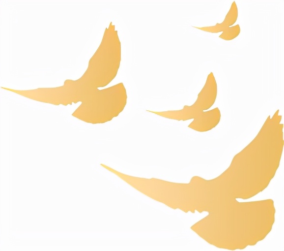 人工智能学院召开“以父母之心办学”学习研讨会