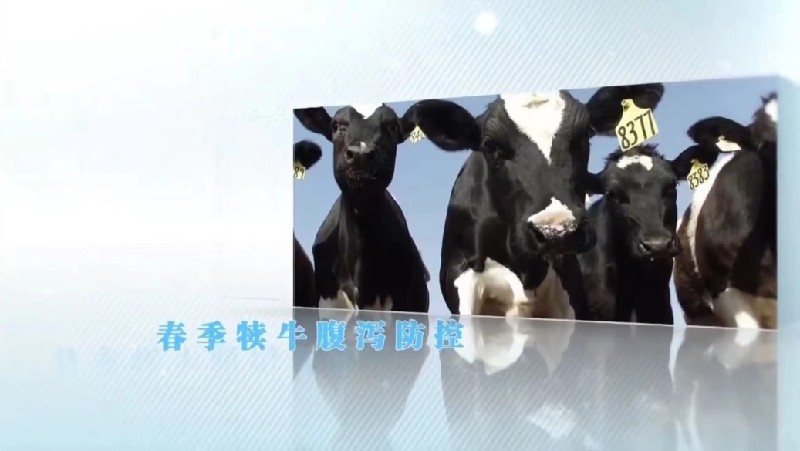 春夏動物常見病咋防控？吉林養(yǎng)殖戶線上培訓學技術