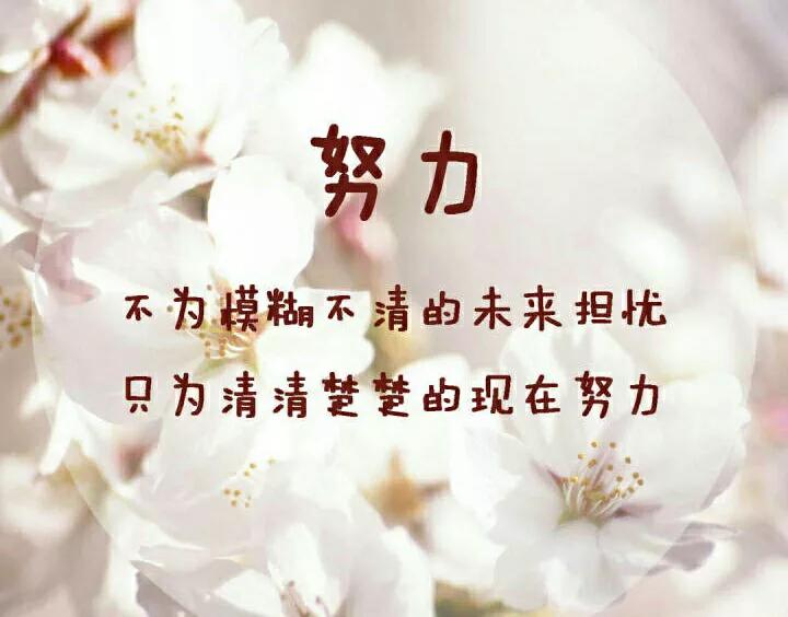 鼓励图片励志文字图片(激励你努力的语录) - 赤虎壹号