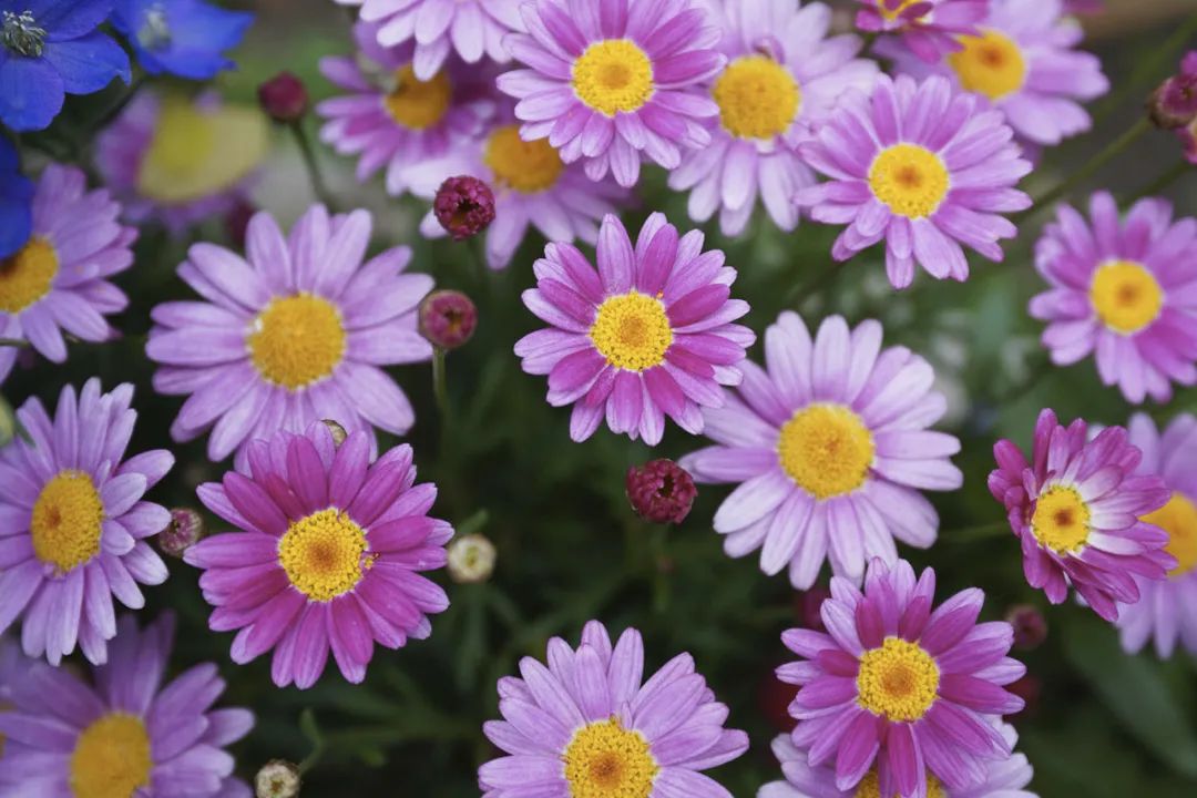 视频拍摄的新宠？无忌测评索尼FE PZ 16-35mm F4 G镜头