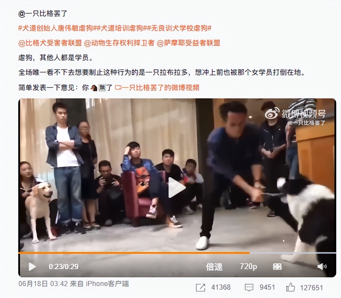 “狗德”培训班的AB面