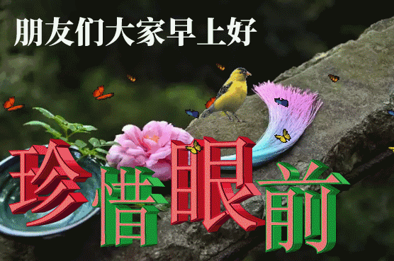 新版清晨好今日更新早上好表情包 寒潮来临，注意保暖图片