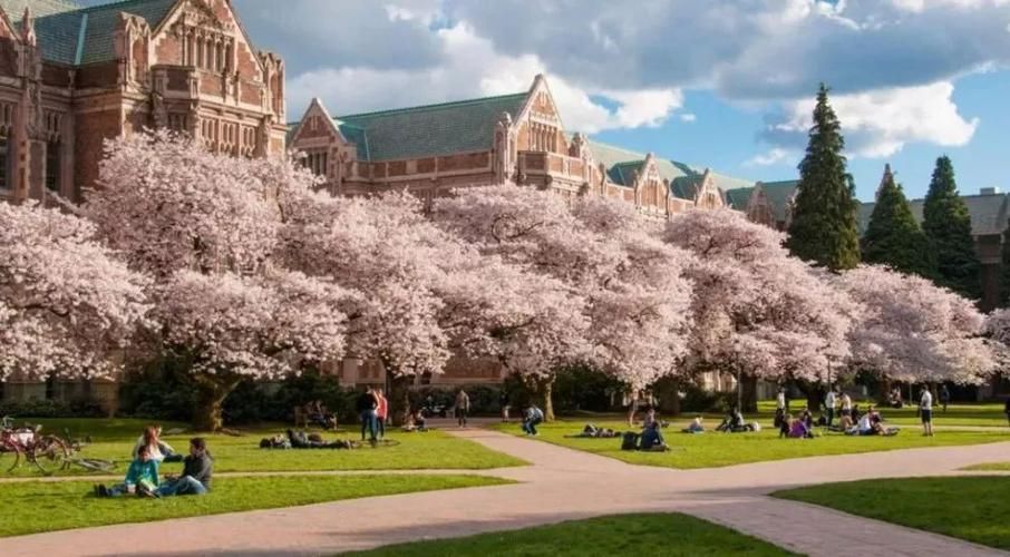 圣路易斯华盛顿大学申请条件，美国“新常春藤”如何才能保录取？
