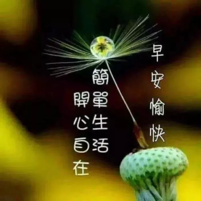 早上好微信温馨祝福图片问候语，又是快乐早晨，送你健康与幸福图片