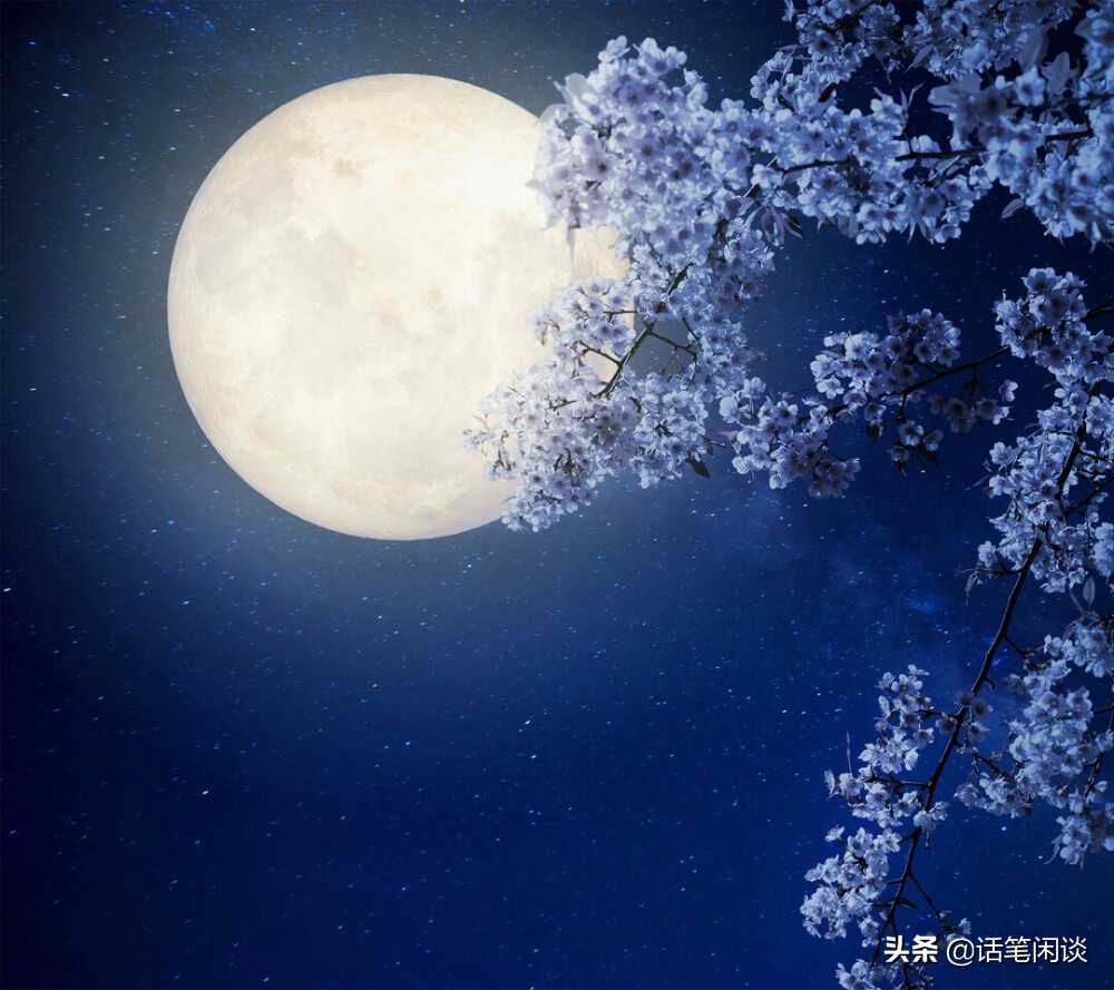 8句描写幽美景物的诗词:鹭点烟汀,醉踏松根月,云破月来花弄影