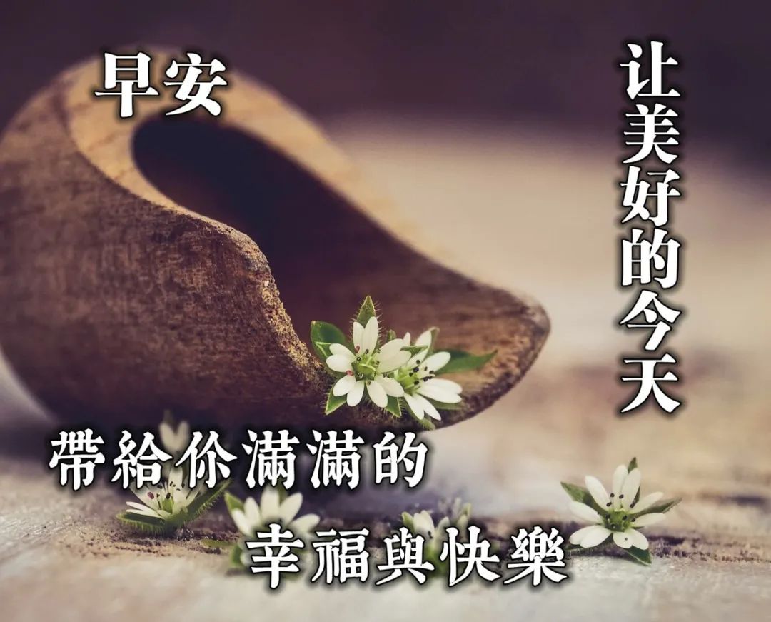 早上好温馨动态图片表情包 美好的今天带给你满满的幸福与快乐图片