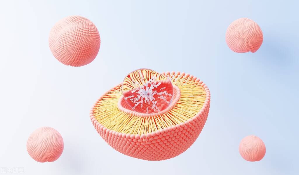 卵磷脂可預防癡呆，增強體能，建議中老年人：常吃3種高磷脂食材