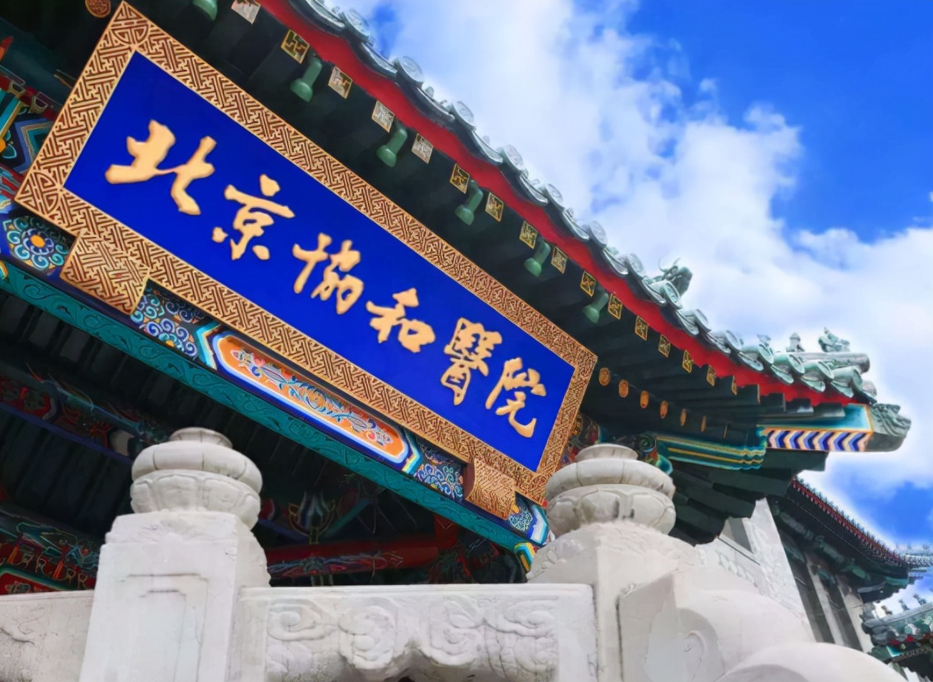 临床医学高校金字塔公布，上交和浙大稳坐塔尖，山大无缘前三名