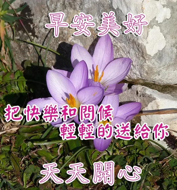 冬天唯美早上好問候祝福圖片帶字精選