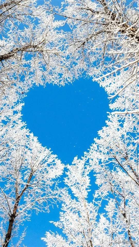 热门朋友圈文案