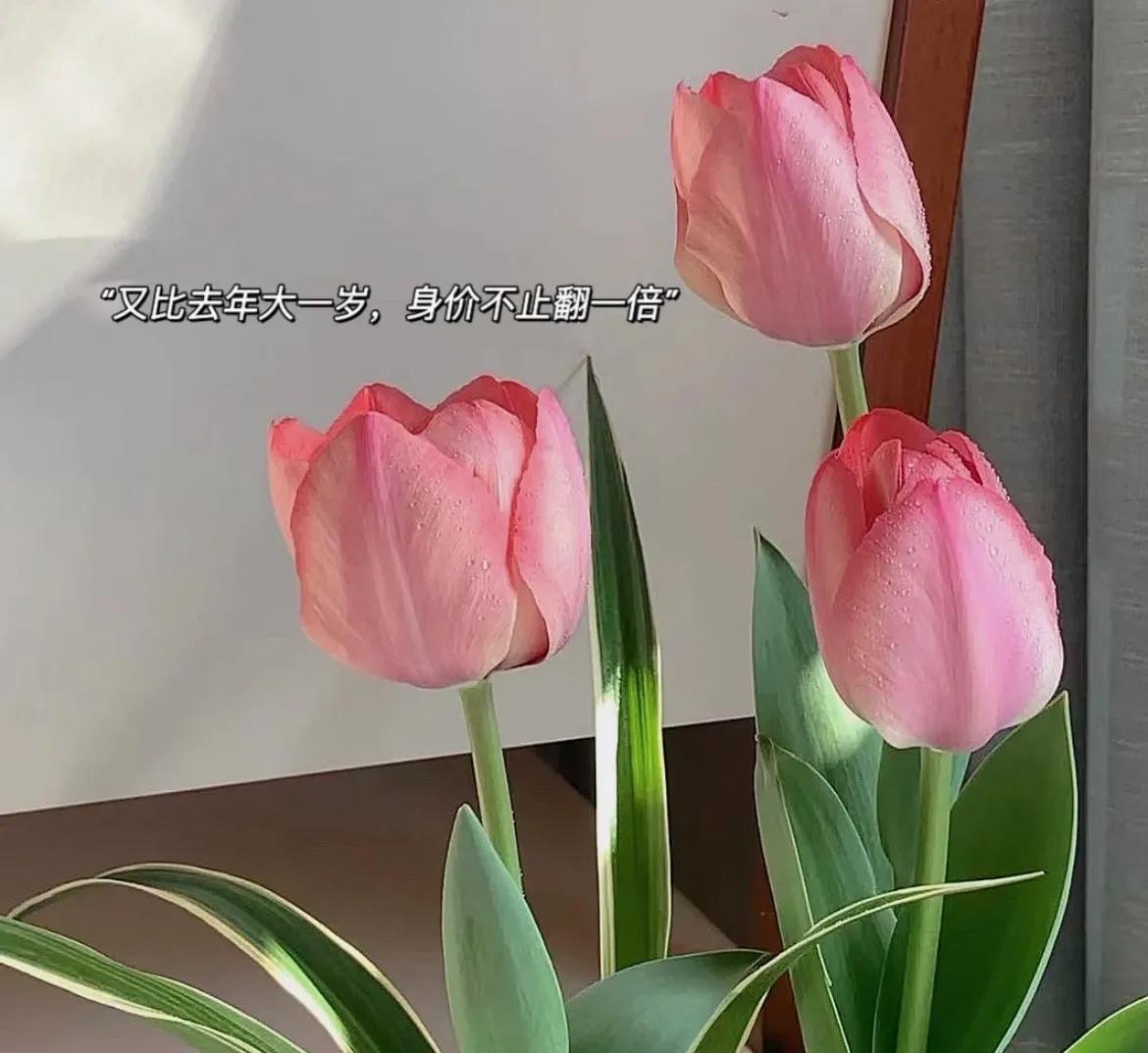 不烂大街的生日文案，一定有你喜欢的