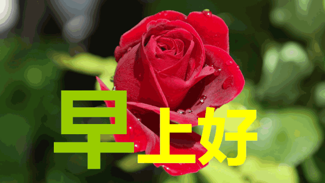 秋日渐冷，美好祝福，愿平安健康每一天，早安喜乐，一切美好如意图片