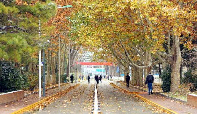 中国大学排名前300强，一次性了解大学层次，为志愿做好准备