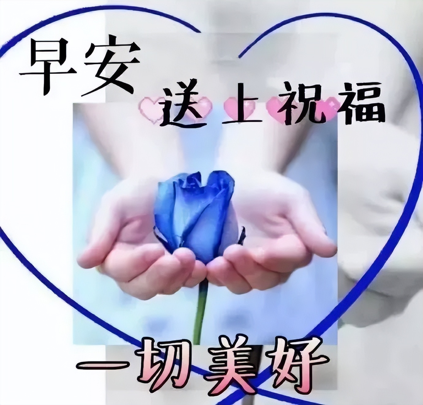 周四早上好祝福图片，早上好问候句子，送上祝福、一切美好图片