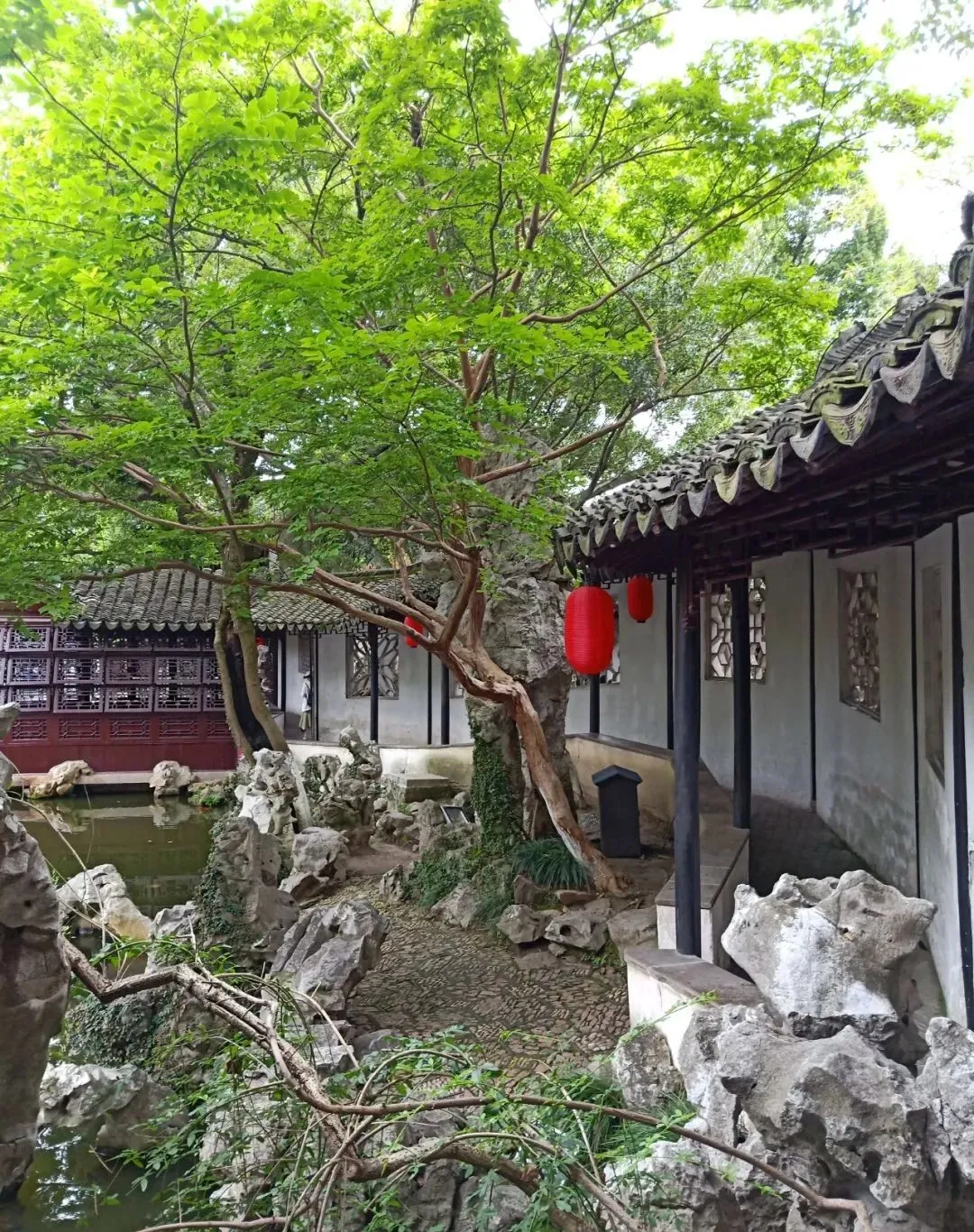 苏州园林特辑 | 待春暖花开之时，相约绝色江南，来一场寻梦之旅