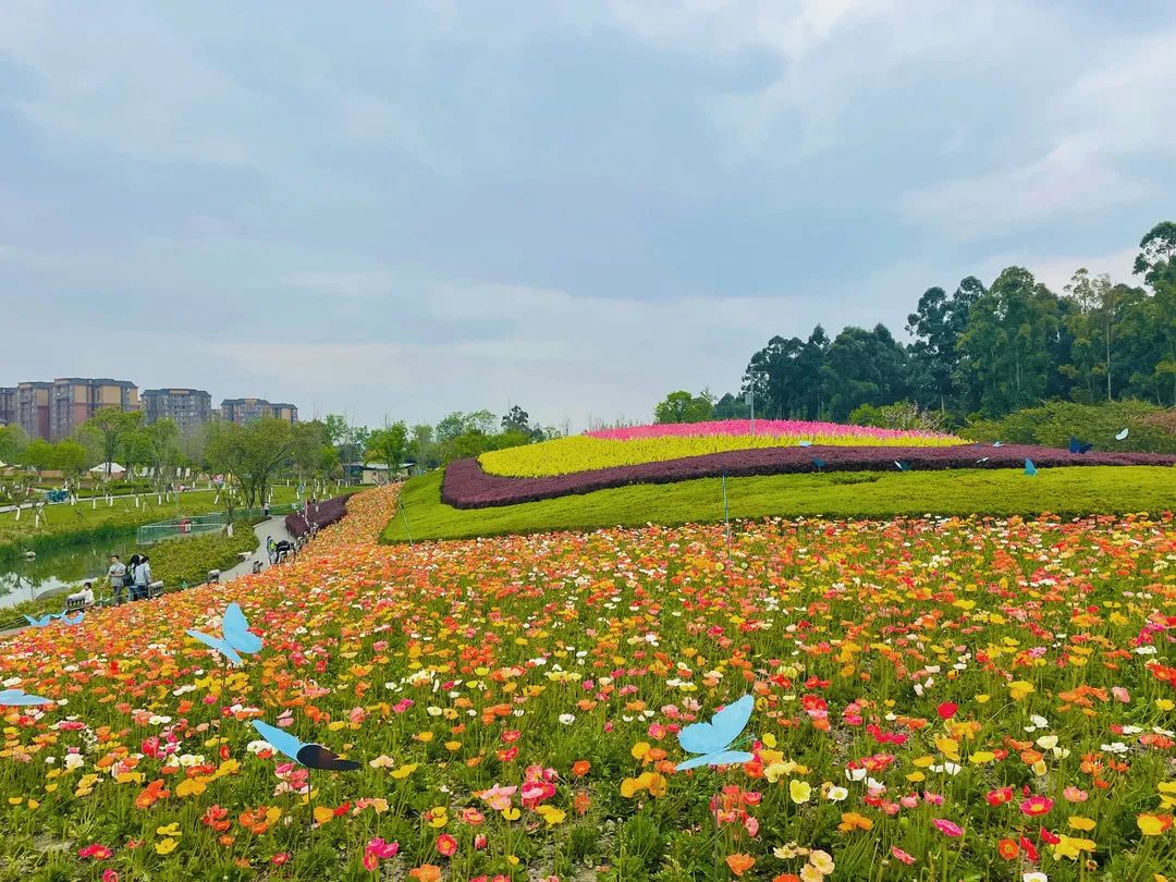 "悦"享春光，花香满"湖"！悦湖园区的花都开好啦，打卡走起！