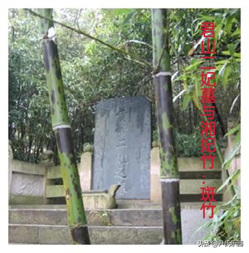 第九章：九疑地区的舜帝传说：一、舜帝传说圈的形成