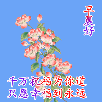 「2022.05.23」早安心语，正能量问候语 激励人心的朋友圈短句文案