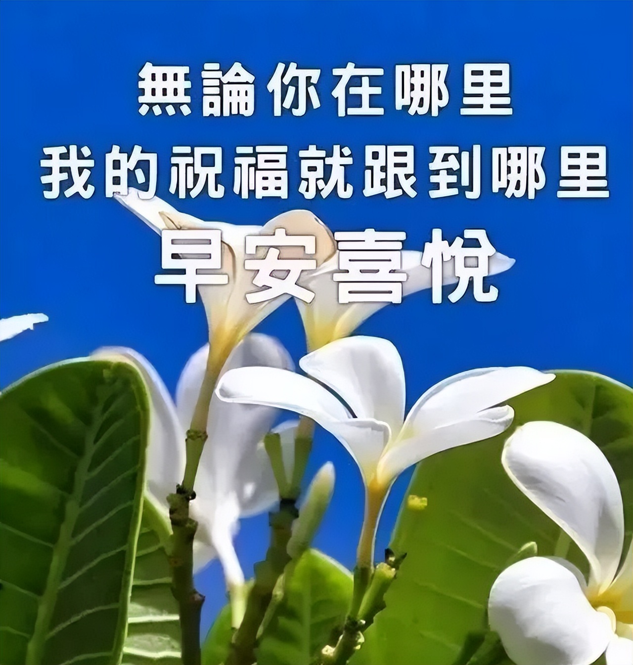 4月份新版周六早上好图片带字合集，花开了会芬芳，心开了会快乐图片