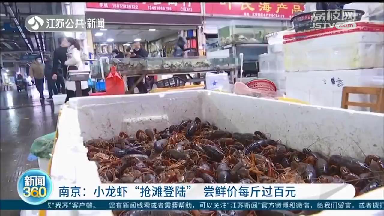 小龙虾&ldquo;抢滩登陆&rdquo;南京 尝鲜价每斤过百元