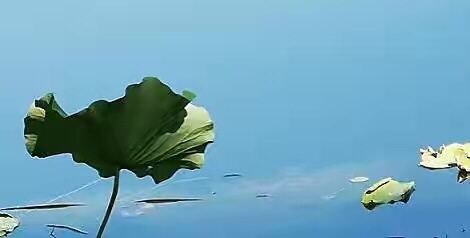 真正厉害的人，懂得把无常当成一场人生的修行