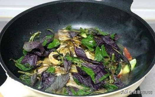 春天，紫苏，其实是个“宝”，用它来泡水喝，或能解决3个问题