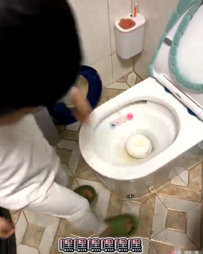 马桶迎来高光时刻，被学生当成洗碗机，场面一度有些失控