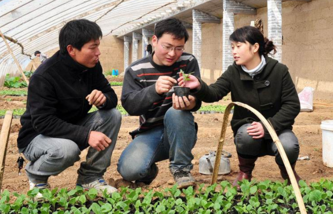 听上去像“铁饭碗”的岗位，真实身份却并非如此，学生慎重报考