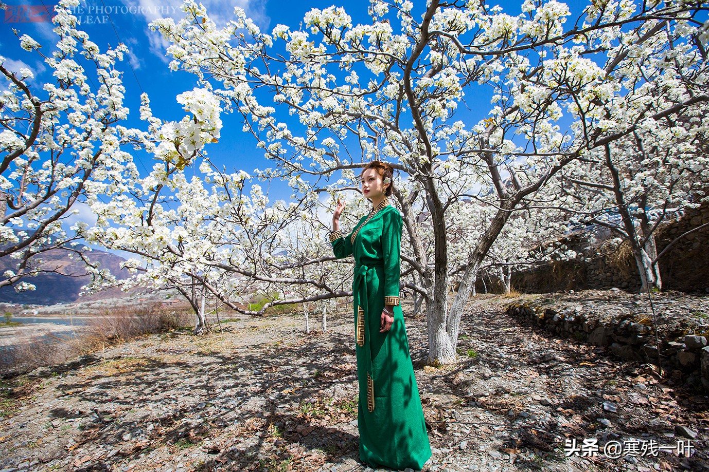 这是《西游记》中的女儿国所在地，美女如云，春天宛如仙境太美了