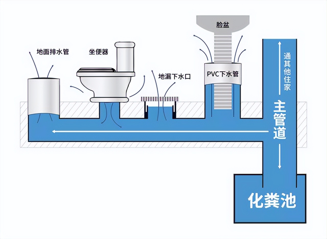 實用！4招徹底解決衛生間反味問題