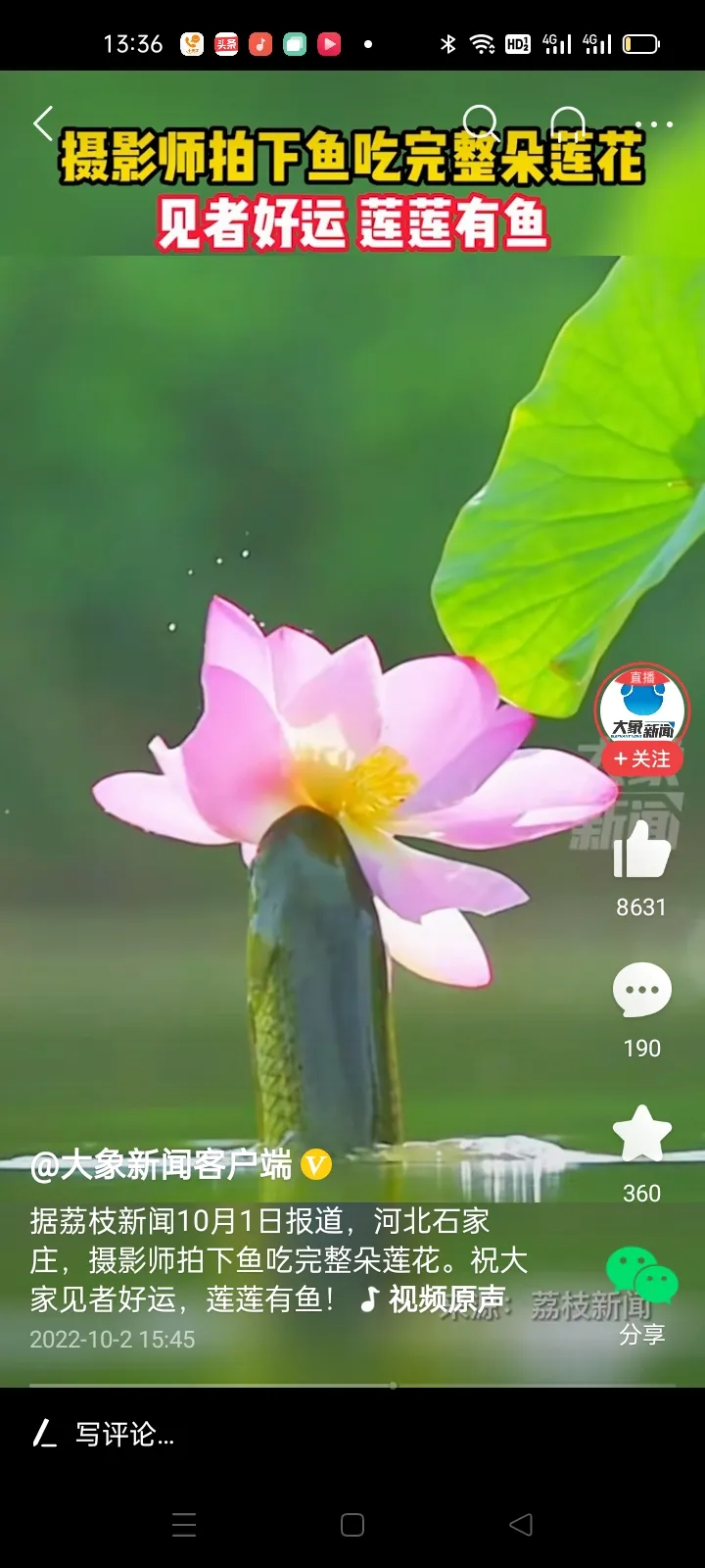 搬家鱼缸不要了怎么办(千万别养鱼！朋友办公室搬迁)